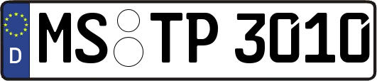 MS-TP3010