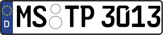 MS-TP3013