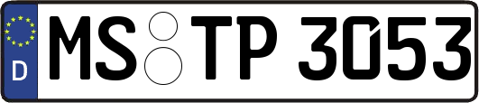MS-TP3053