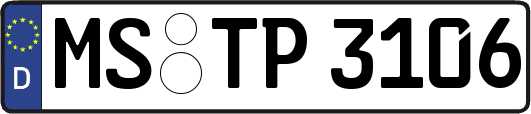 MS-TP3106