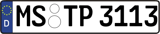 MS-TP3113