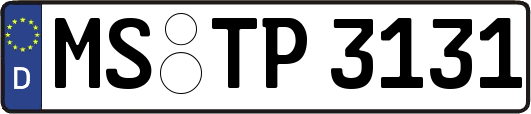MS-TP3131