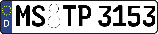 MS-TP3153