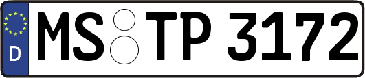 MS-TP3172