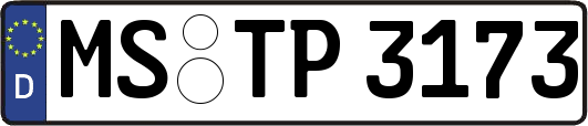 MS-TP3173