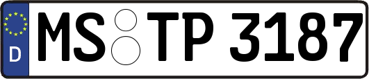 MS-TP3187