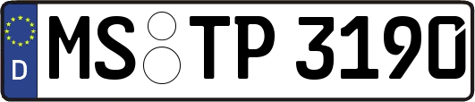 MS-TP3190