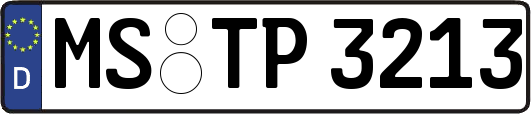 MS-TP3213