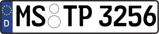 MS-TP3256