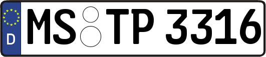 MS-TP3316