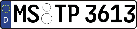 MS-TP3613