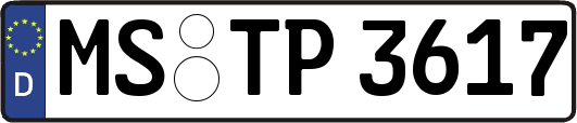 MS-TP3617