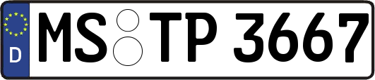 MS-TP3667