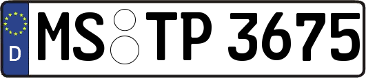 MS-TP3675