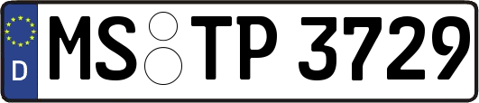 MS-TP3729
