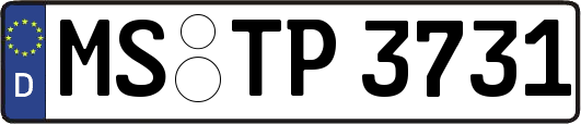 MS-TP3731