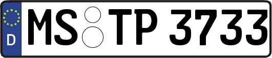 MS-TP3733