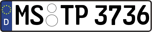 MS-TP3736