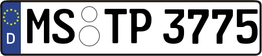 MS-TP3775
