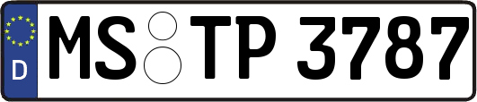 MS-TP3787