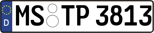MS-TP3813