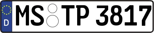 MS-TP3817