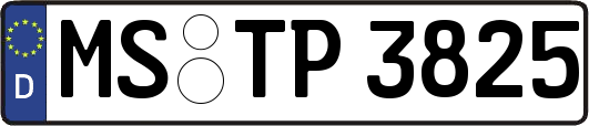 MS-TP3825