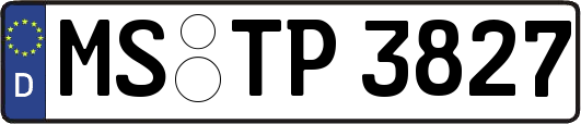 MS-TP3827