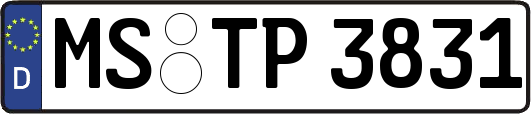 MS-TP3831