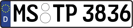 MS-TP3836