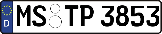 MS-TP3853