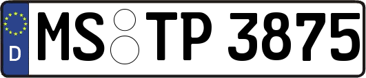 MS-TP3875