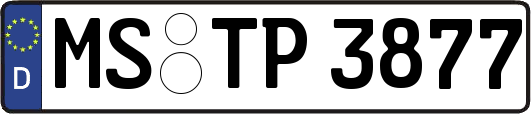 MS-TP3877