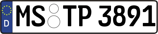 MS-TP3891