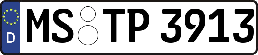 MS-TP3913