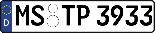 MS-TP3933