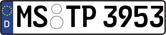 MS-TP3953