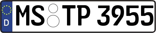 MS-TP3955