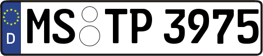 MS-TP3975