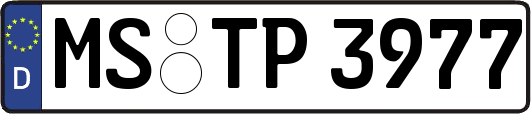 MS-TP3977