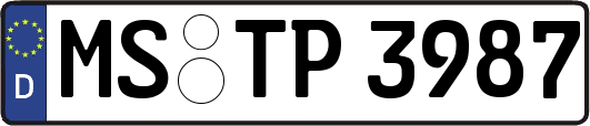 MS-TP3987