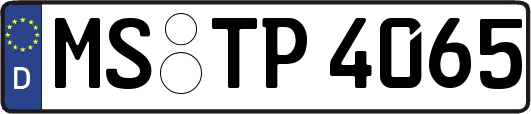 MS-TP4065