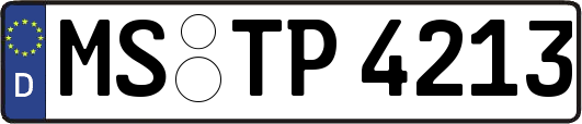 MS-TP4213