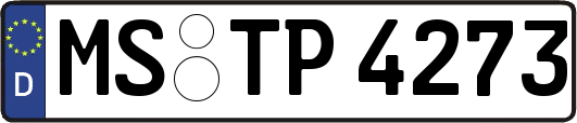 MS-TP4273
