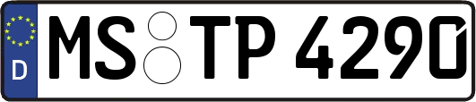 MS-TP4290