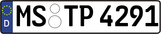 MS-TP4291