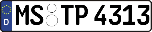 MS-TP4313