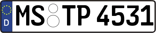MS-TP4531