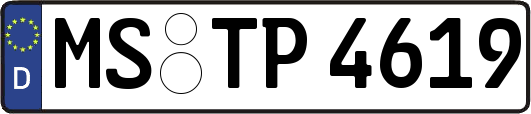 MS-TP4619