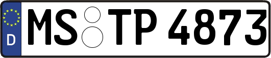 MS-TP4873